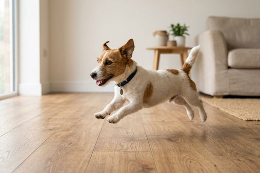 best waterproof flooring to replace basement carpet