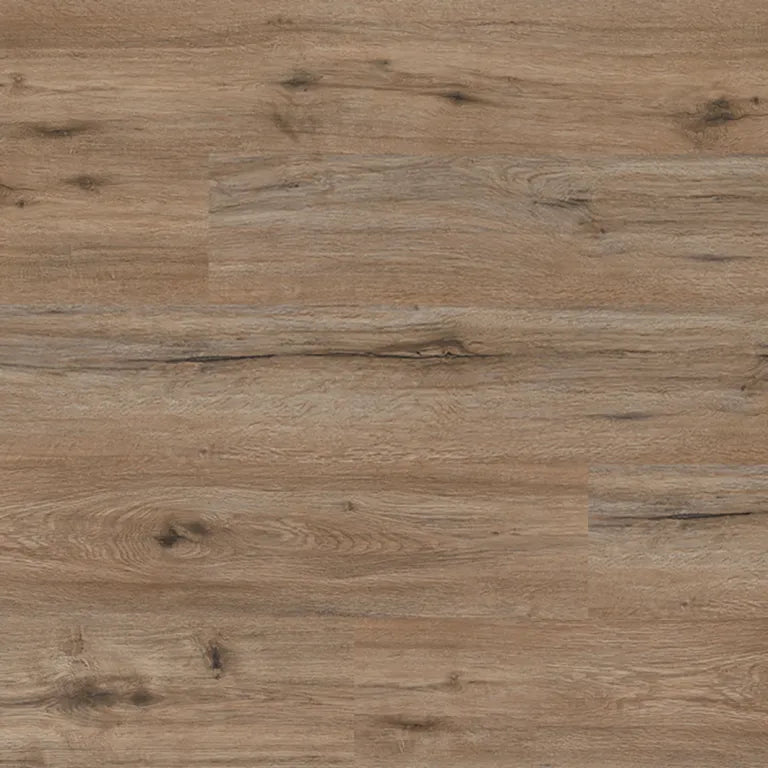 Sahara Oak