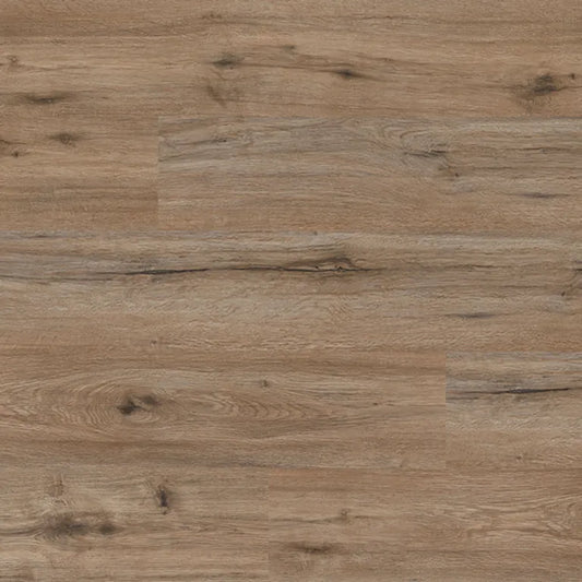 Sahara Oak